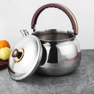 Bouilloire sifflante induction