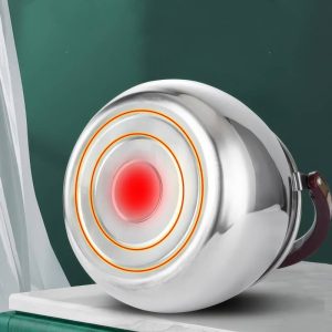 Bouilloire sifflante induction