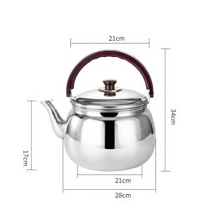 Bouilloire sifflante induction